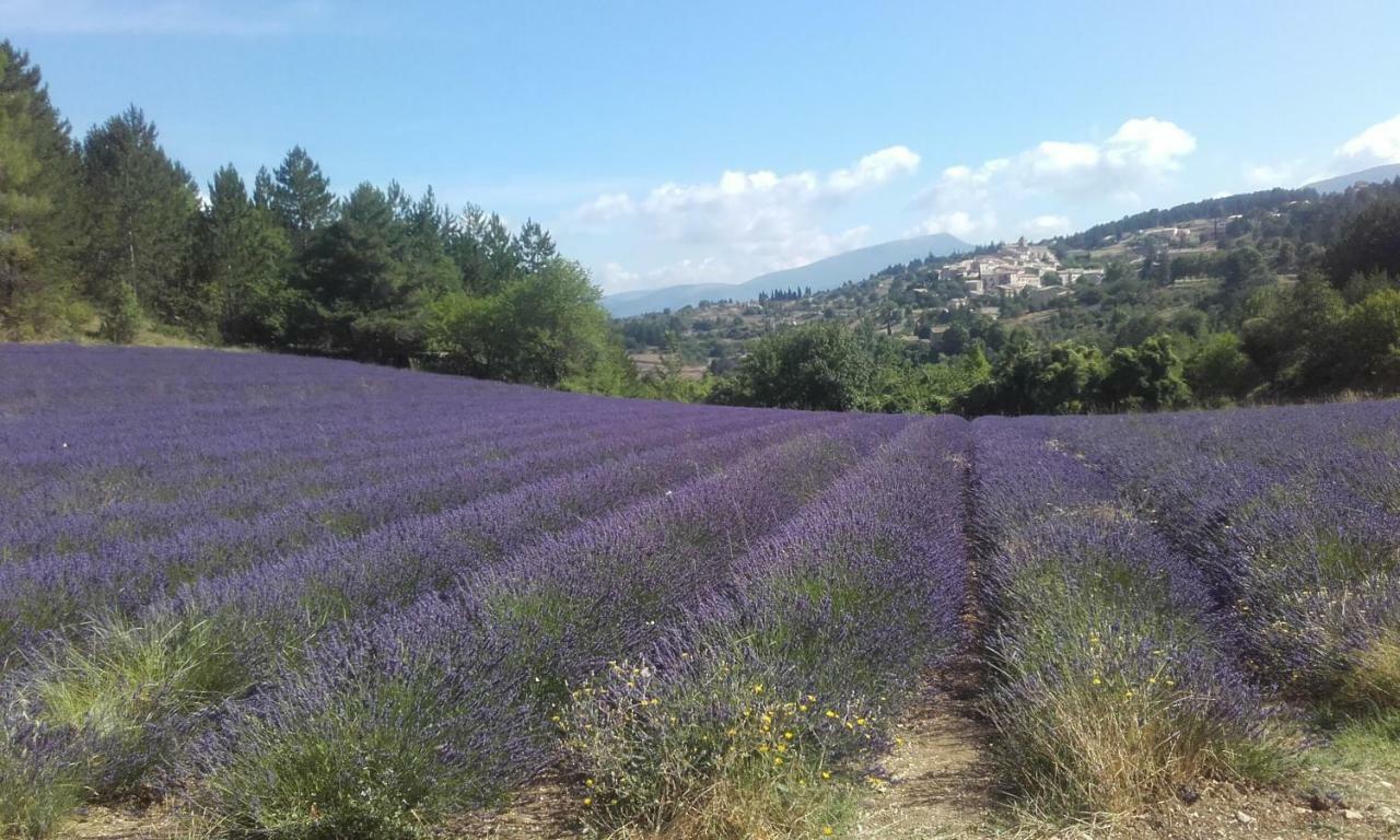 מלון Malaucène Le Petit Ventoux מראה חיצוני תמונה